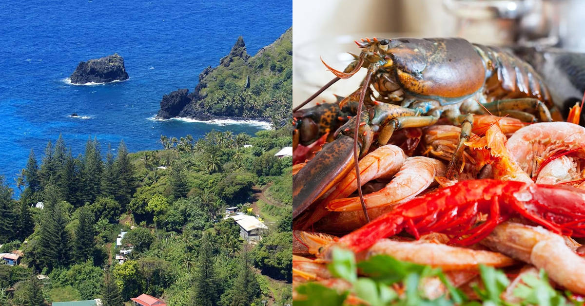 Is Pitcairn Island Food Halal
